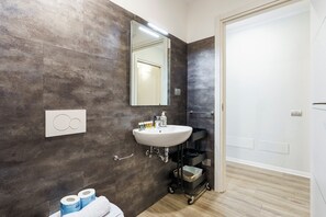 Shower, hair dryer, bidet, towels