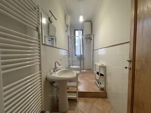 Shower, hair dryer, bidet, towels