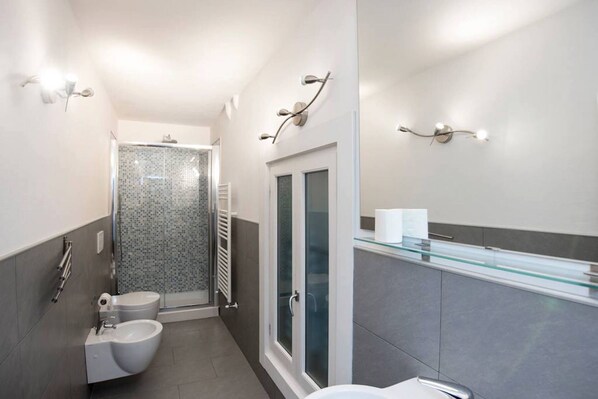 Shower, hair dryer, bidet, towels