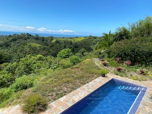 A swimming pool with a stone border, surrounded by lush greenery and a view of the ocean.