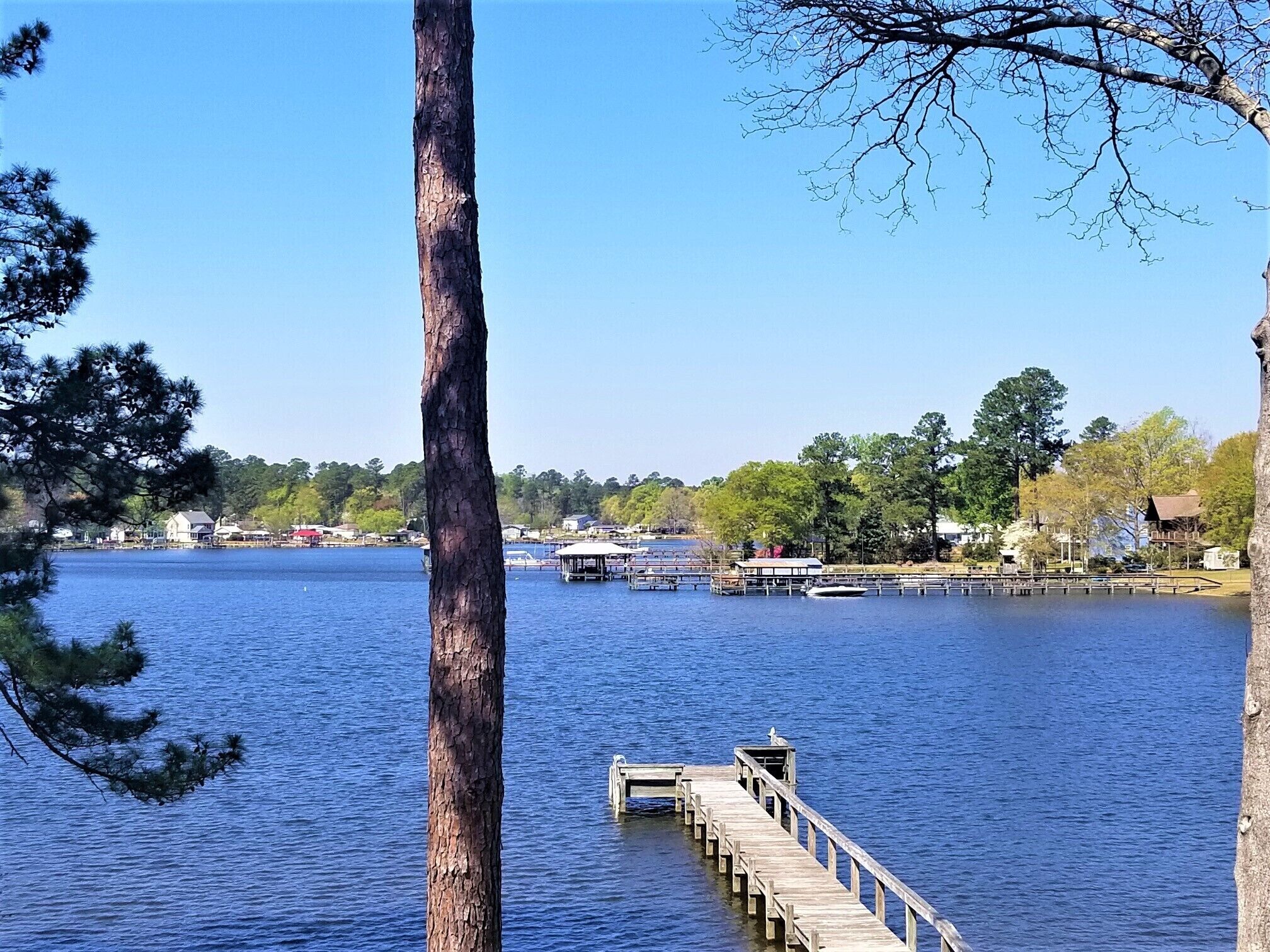 Un muelle de madera se adentra en un lago tranquilo, rodeado de árboles y edificios al fondo.