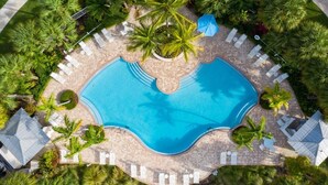 Vue aérienne d’une piscine entourée de palmiers et de chaises longues.