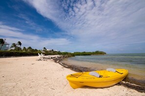 Plage à proximité, chaises longues, serviettes de plage