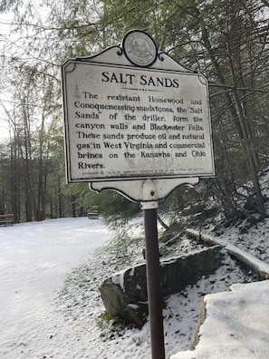A signboard titled "Salt Sands" with a description of the area's geological features.