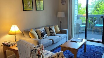 Smart TV, lareira, livros, aparelho de som