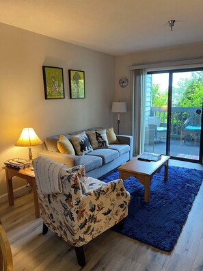 Smart TV, fireplace, books, stereo - The mountains are calling...you MUST go! (Davis)