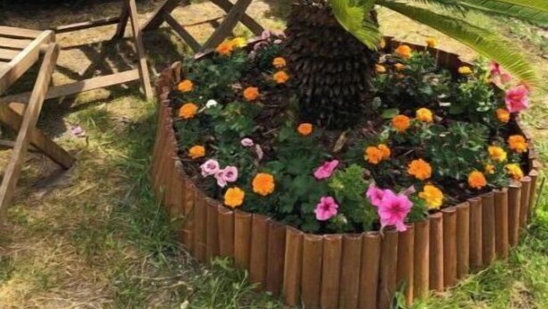 A garden with a central plant surrounded by a wooden border and colorful flowers. - baroque villa (Pierrefitte-sur-Seine)