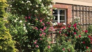 Un bâtiment à la façade en briques, une fenêtre aux cadres blancs et un jardin où poussent des roses blanches et roses.