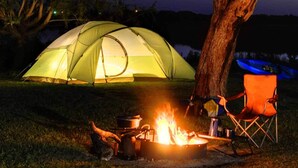 A tent set up near a tree with a campfire inside.