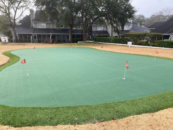 A golf putting green surrounded by a well-maintained lawn and trees.