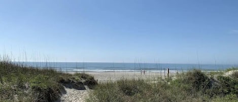 Playa