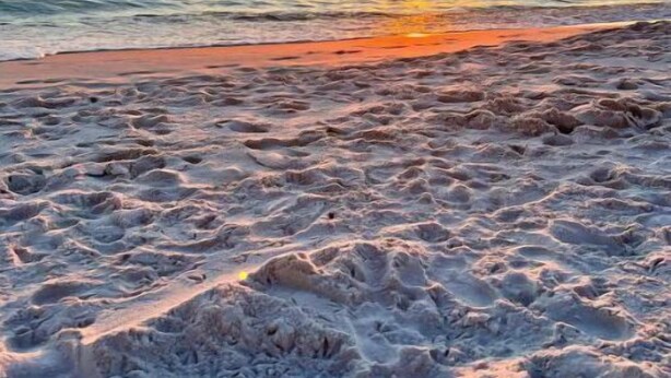 A beach with a sunset over the ocean. - Spacious 2BR/2.5BA Two-Story Beach House, Pet Friendly, FREE Golf Cart Included (Panama City Beach)
