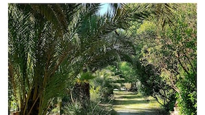 A pathway lined with palm trees and stepping stones leading through a garden. - Apartment in a quiet, private estate with swimming pool, tennis court and petanque area (Bormes-les-Mimosas)