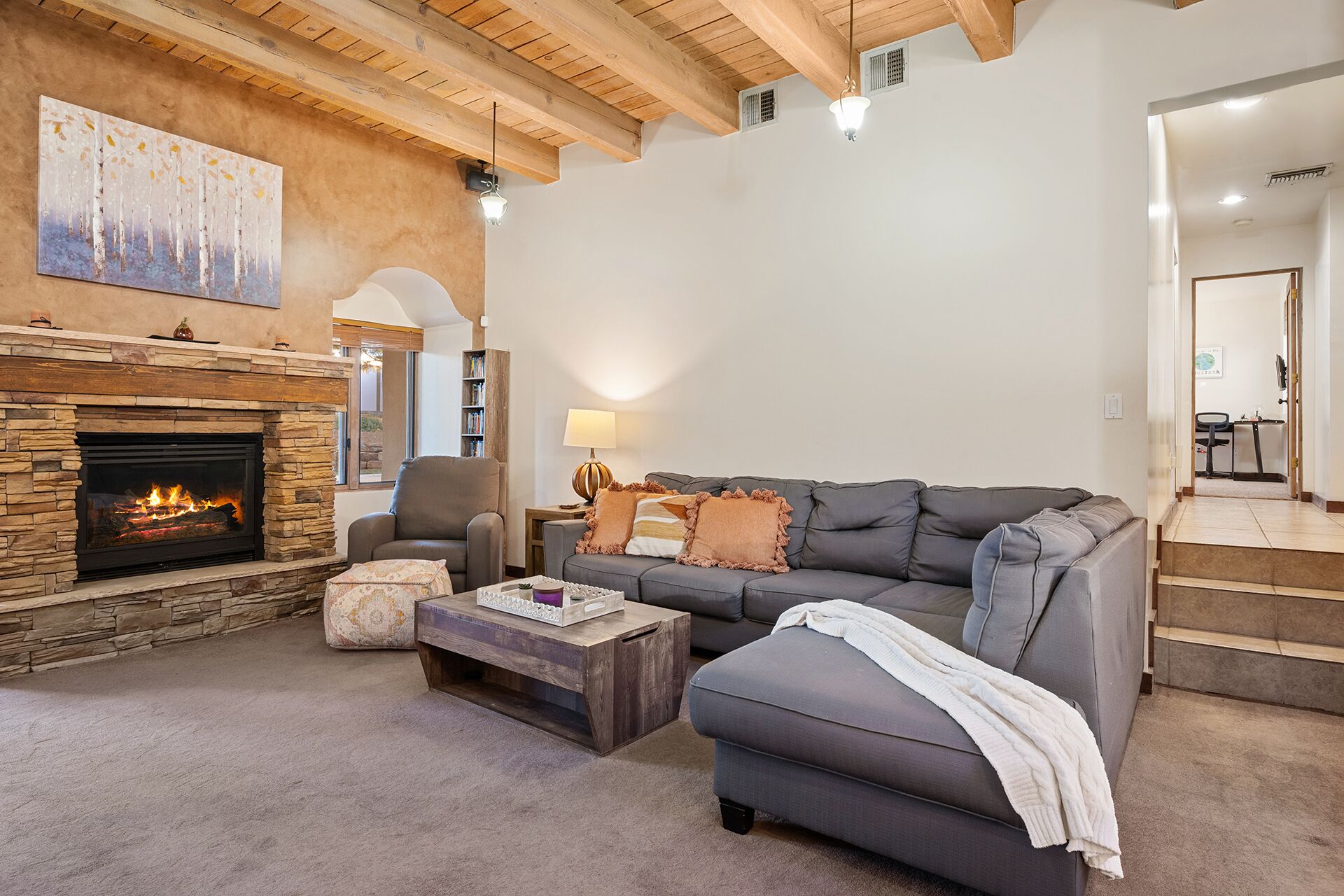 Smart TV, fireplace, DVD player, books