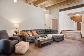 TV connectée, cheminée, lecteur de DVD, livres