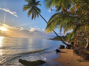 A beach with palm trees and a clear sky.
