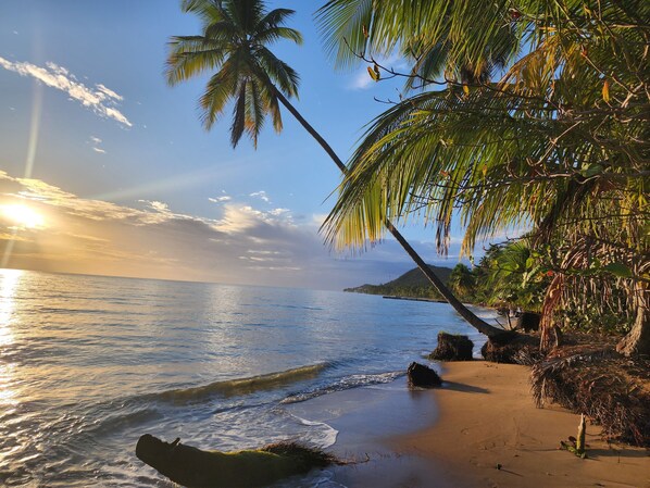 Beach nearby, sun loungers, beach towels