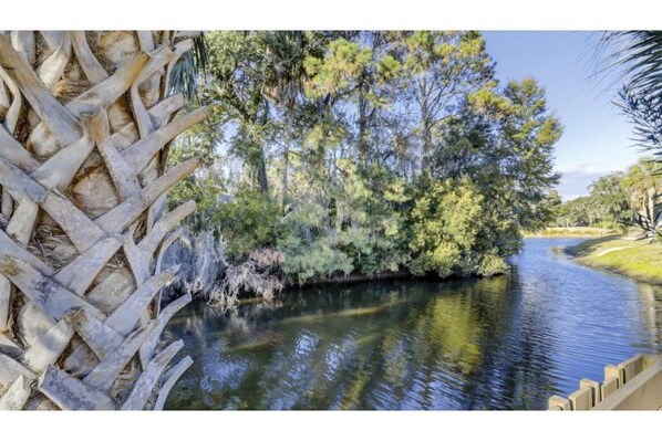 Property grounds - Free Golf, Free bicycles, walk to the beach (Hilton Head Island)