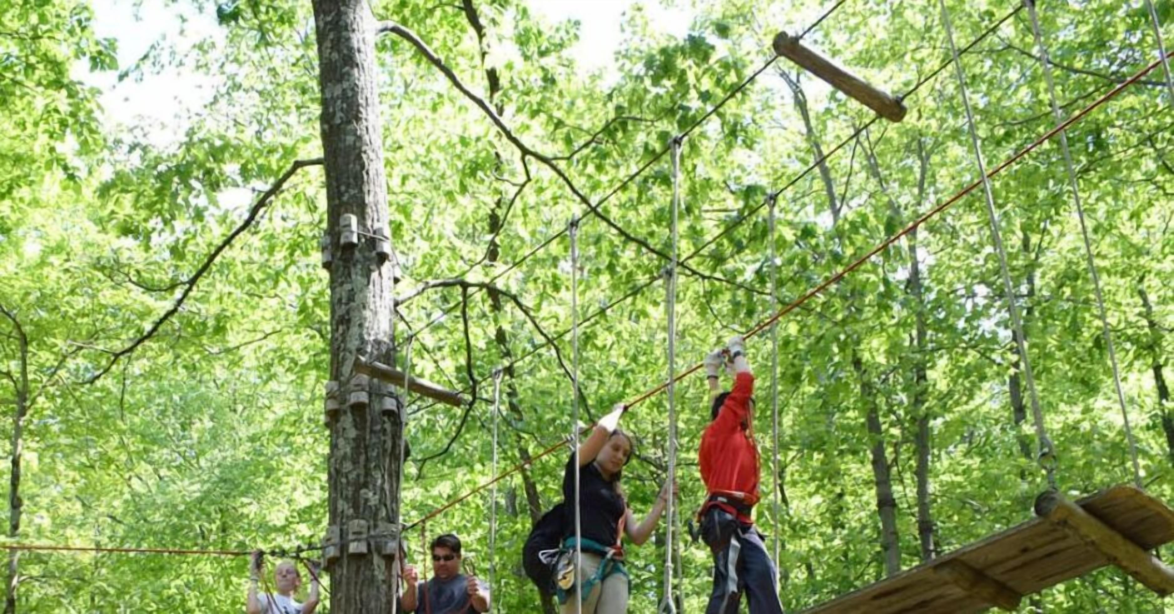 A group of people engaged in an outdoor activity involving ropes and wooden structures in a forested area.