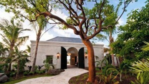 A building with a curved driveway, palm trees, and a large tree in the foreground.