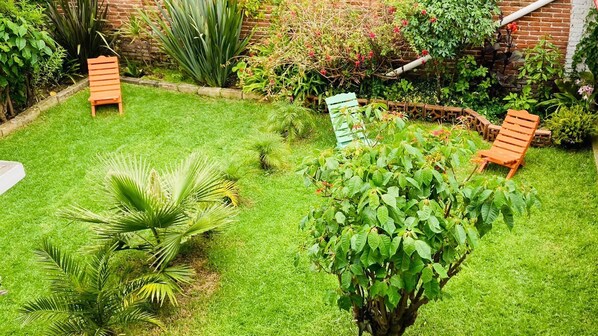 Un jardín bien cuidado con césped, varias sillas de madera y diferentes plantas.