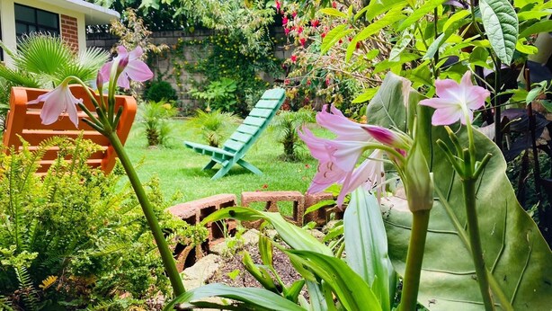 Ein Garten mit verschiedenen Pflanzen, einem Mauerwerk und einem grünen Stuhl.