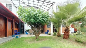 Ein Innenhof mit Baum, Palme und überdachtem Bereich mit Bänken.