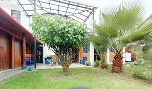 Living area - Casa Flor De Vida (San Cristóbal de las Casas)