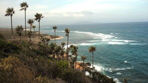 A coastal landscape with palm trees and a beach. - Altos de la Caobita  (Azua)