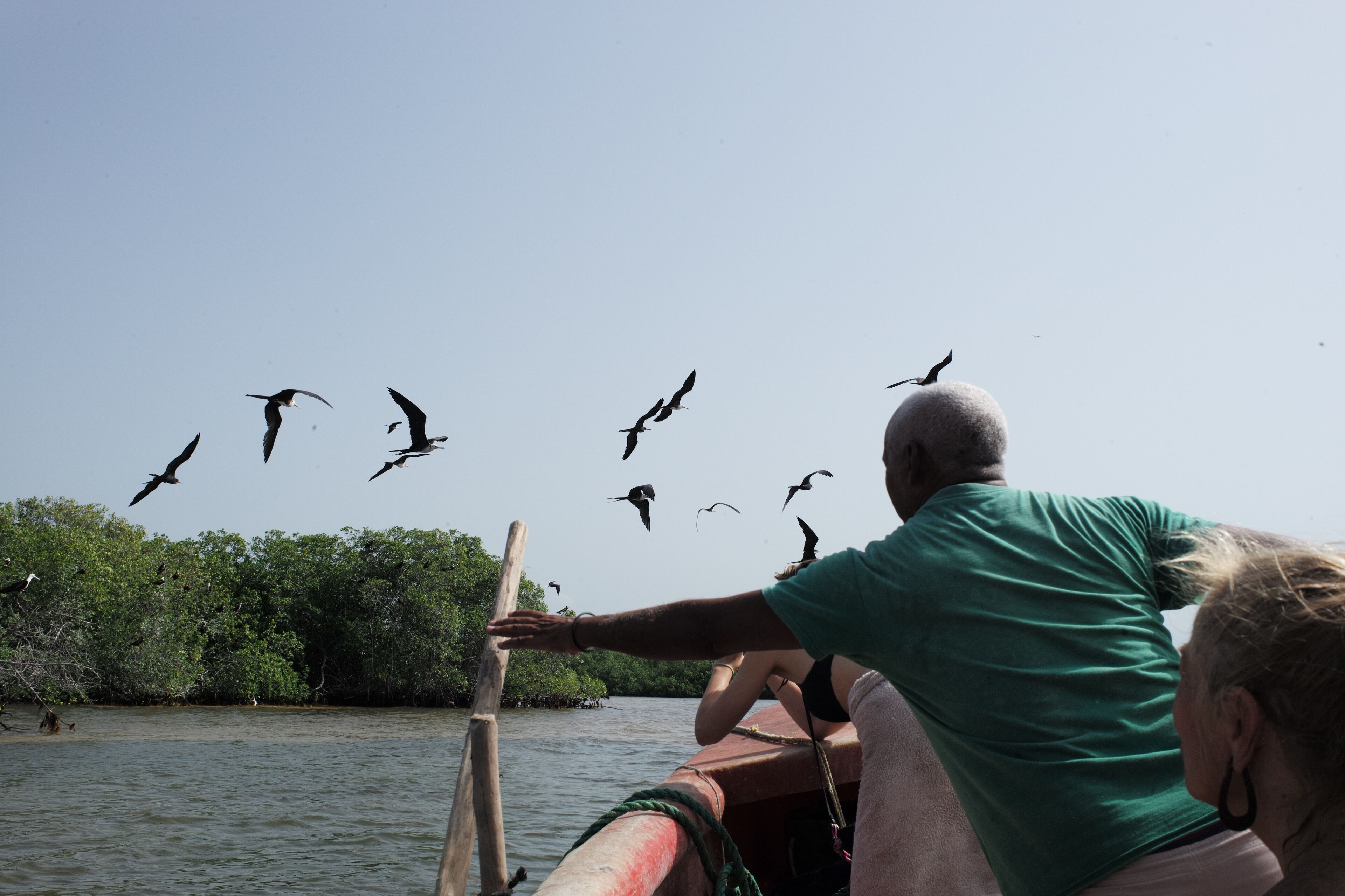 A boat with a person extending their arm towards the water, surrounded by trees and birds flying overhead.