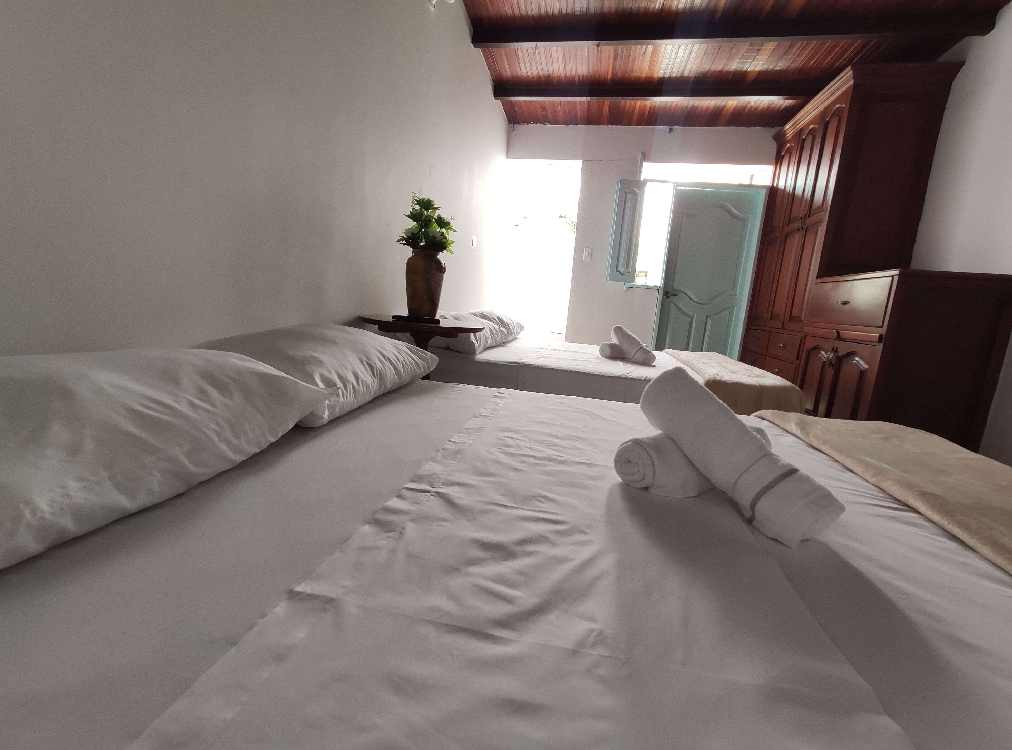 Une chambre avec deux lits, une plante en pot, des meubles en bois et une vue sur l’extérieur.