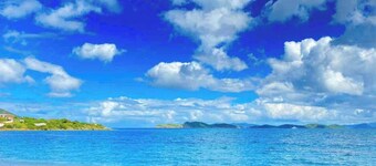 Couples Getaway: 1Bed 1Bath Condo in Red Hook