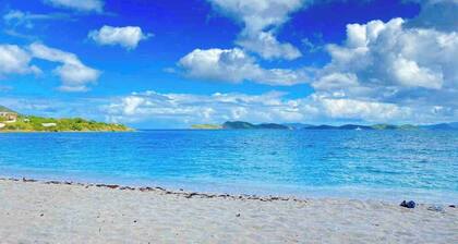 Couples Getaway: 1Bed 1Bath Condo in Red Hook