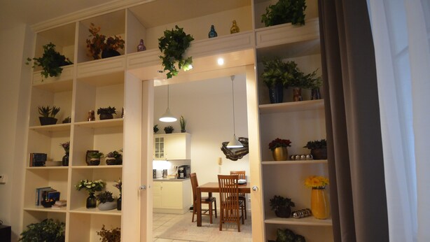 Ein Zimmer mit mehreren Regalen voller Pflanzen, einem Esstisch mit Stühlen und einer Küche im Hintergrund.