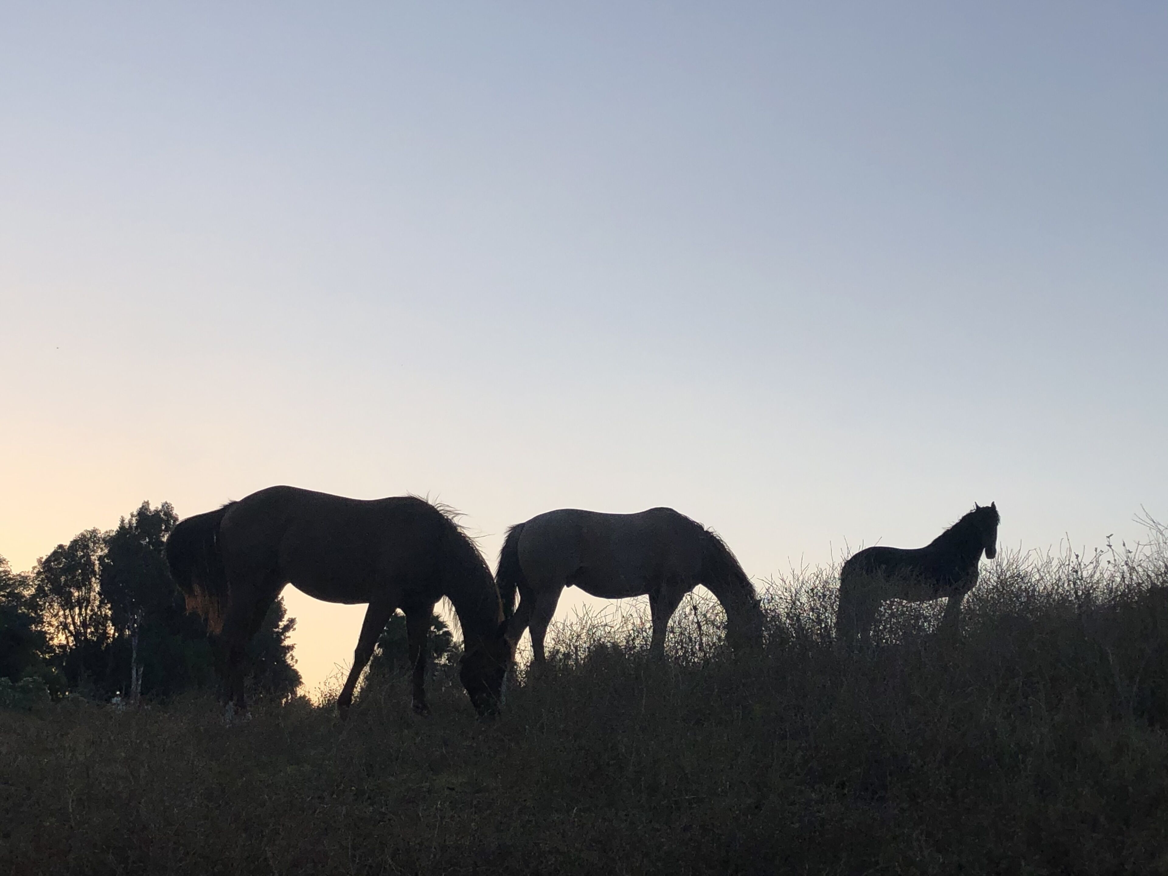 2 Bed Apt on 10 Acre Ranch