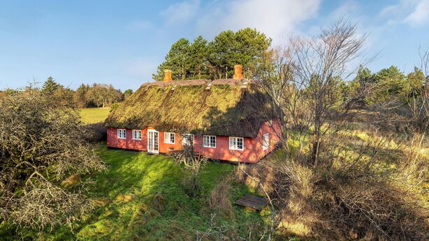 A thatched-roof house with a red exterior, surrounded by trees and grass. - 3 bedroom stunning home in Rømø (Rømø)