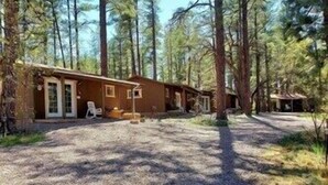 Une cabane avec une allée en gravier, entourée de grands pins.