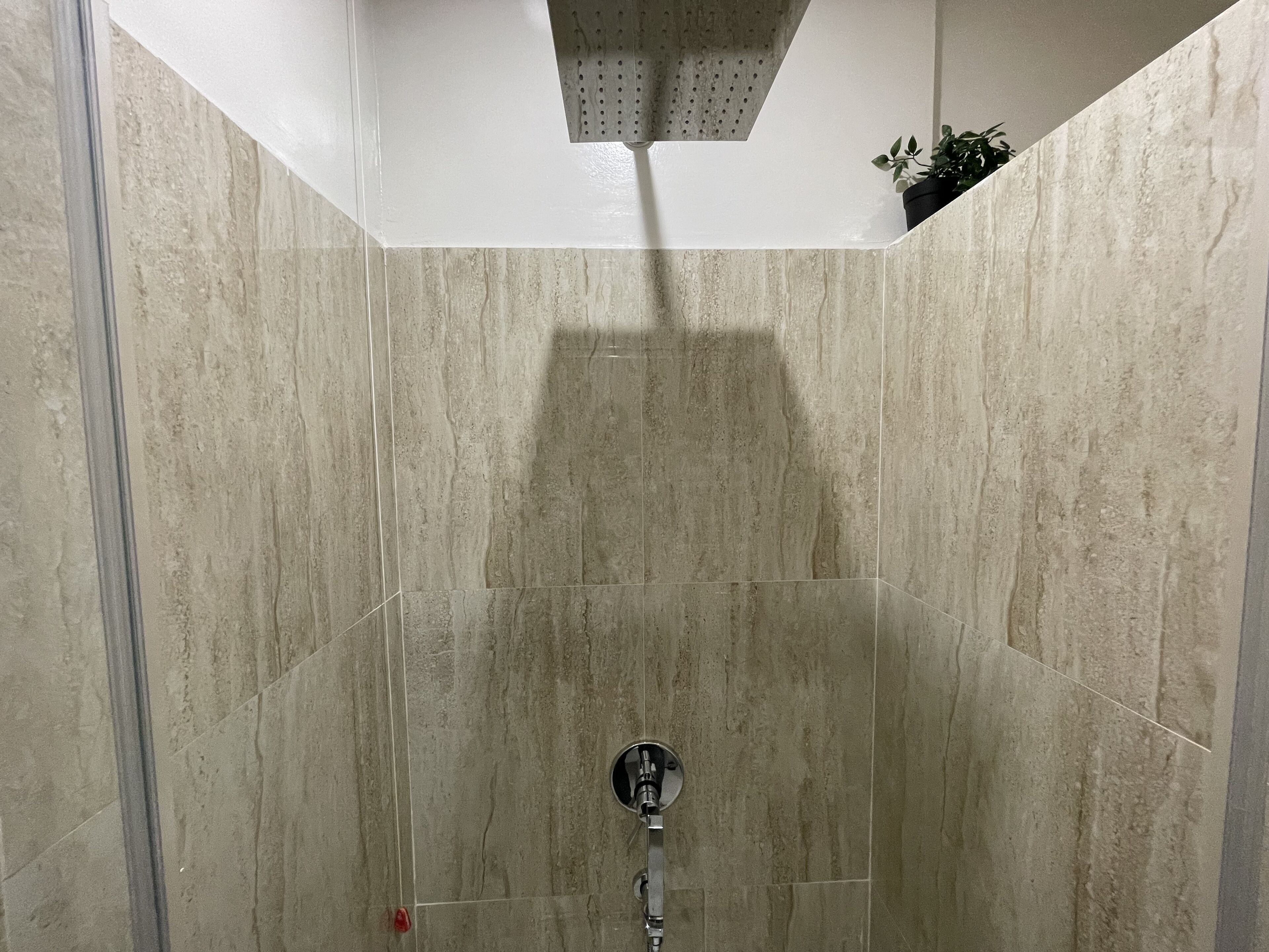 A shower with a rain showerhead, tiled walls, and a small potted plant in the corner.