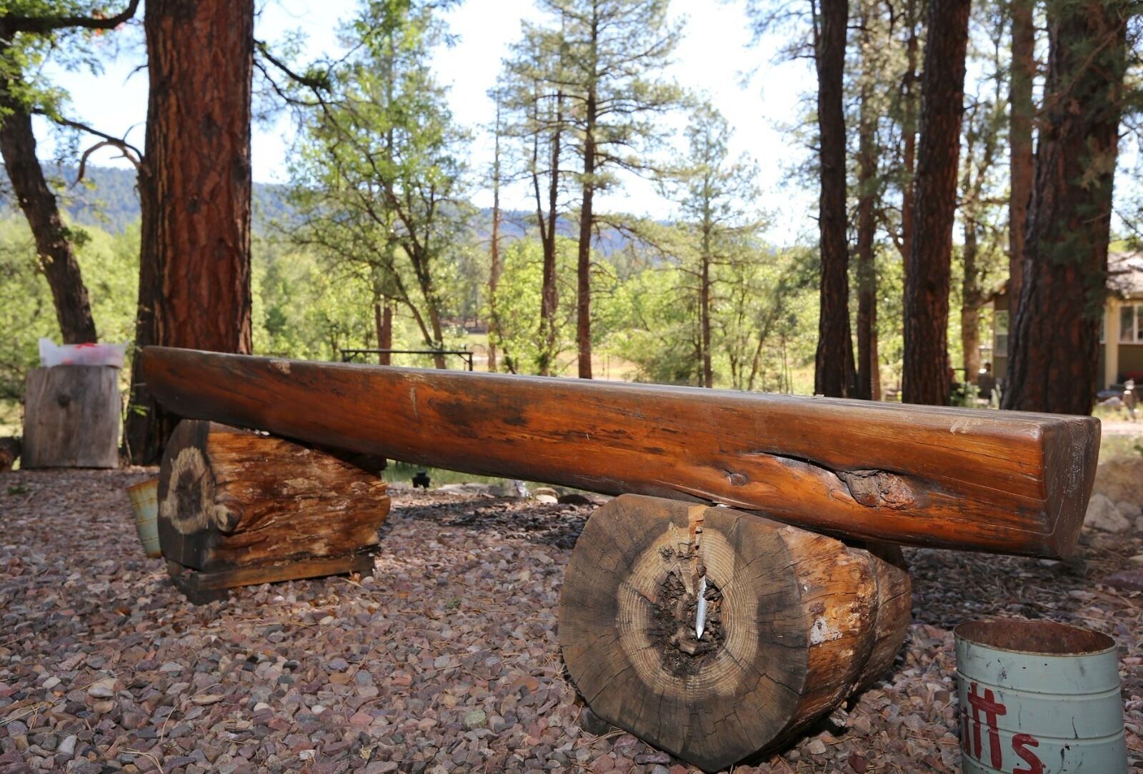 Un banc en bois rustique, avec une assise et un dossier faits d’une seule pièce de bois, placé devant un décor d’arbres et sous un ciel dégagé.