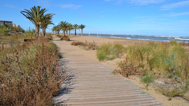 Une promenade en bois menant à une plage bordée de palmiers, d’où l’on peut admirer l’océan.