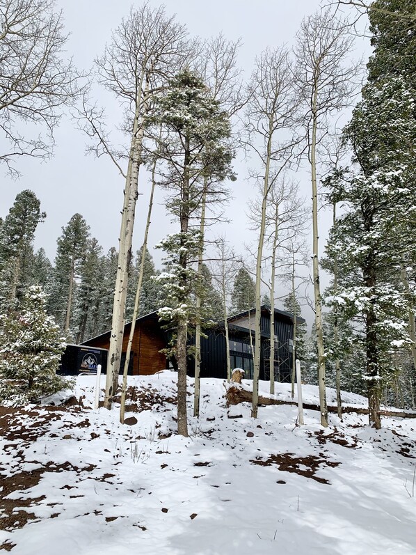 Una baita moderna circondata da alberi alti e innevati in una foresta.