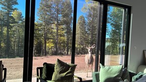 Una habitación con ventanas amplias que dan a un bosque y un ciervo.
