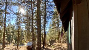 A forested area with a cabin and an American flag. - Mint Chip Cabin - Pet friendly - Forested - Large deck - Fire pit (Cascade)