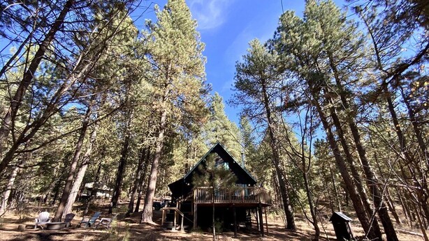 A cabin surrounded by tall pine trees in a forest. - Mint Chip Cabin - Pet friendly - Forested - Large deck - Fire pit (Cascade)