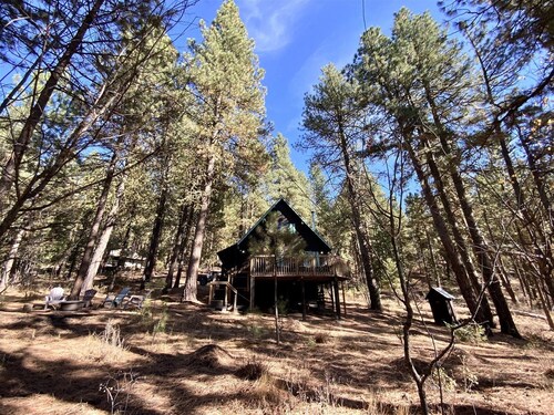 Mint Chip Cabin - Pet friendly - Forested - Large deck - Fire pit