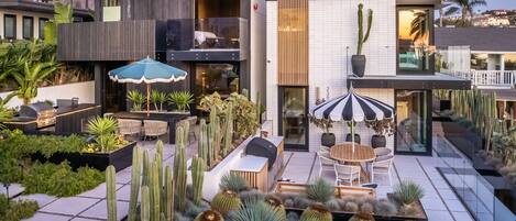 A modern outdoor patio area with a dining set, multiple umbrellas, and a variety of cacti.
