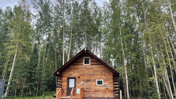 A log cabin with a wooden porch and a door, surrounded by tall trees.