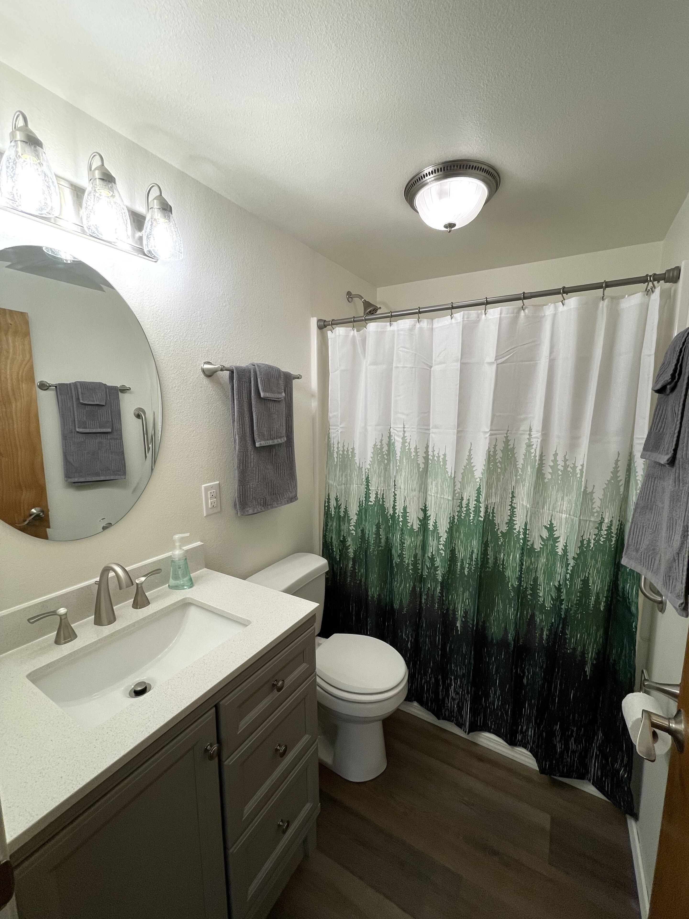 Combined shower/bathtub, hair dryer, towels, soap