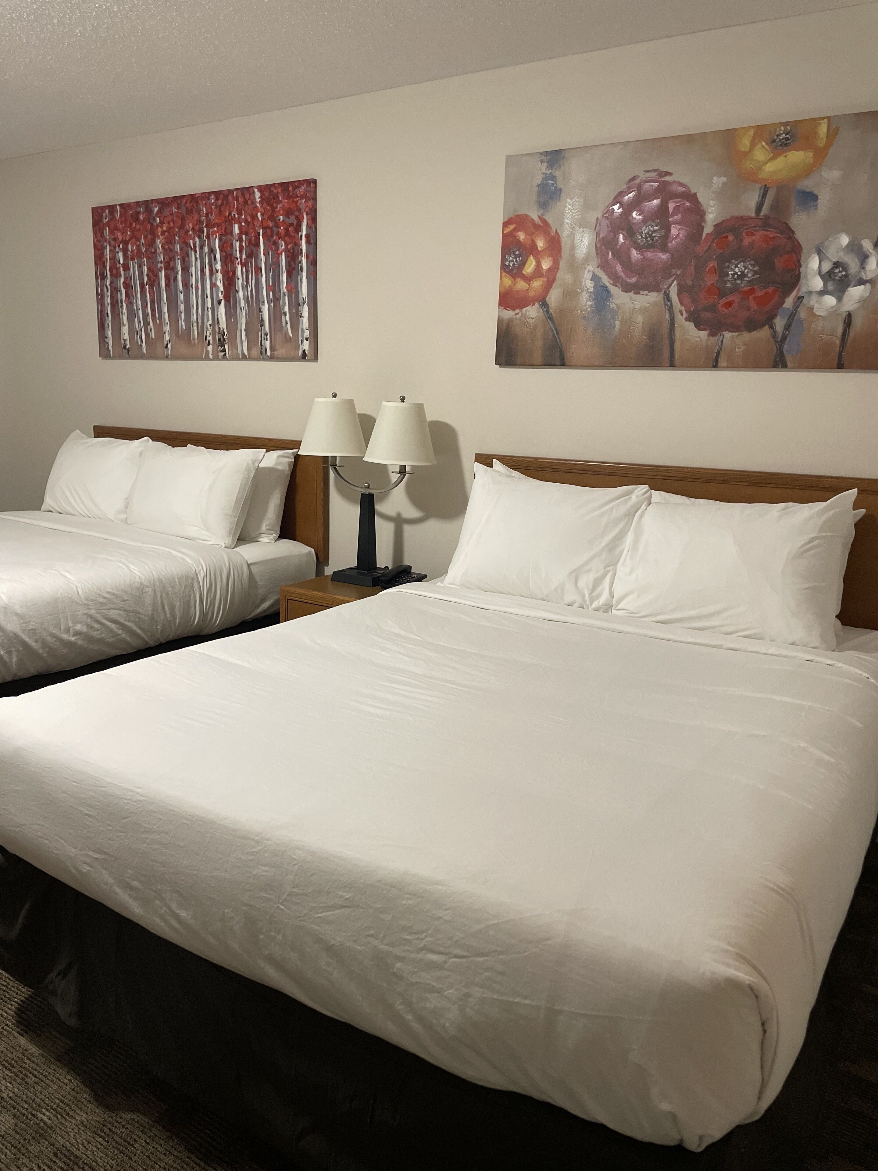 Premium bedding, pillowtop beds, blackout drapes, free WiFi