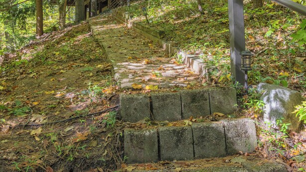 Un escalier en bois menant à un chalet situé dans une zone boisée.
